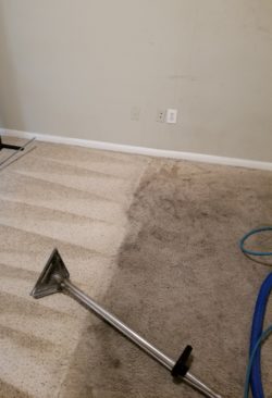Carpet Cleaning1 | Houston House Cleaning
