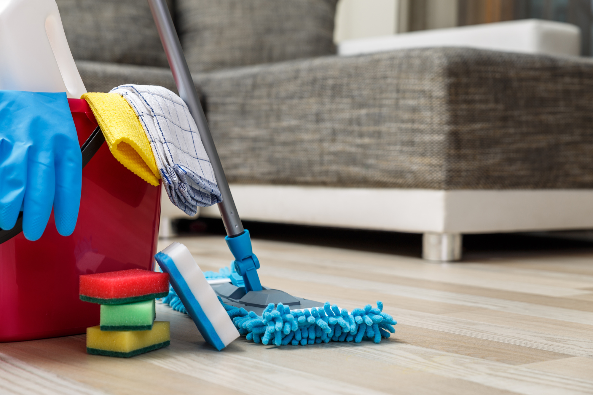 professional house cleaning service