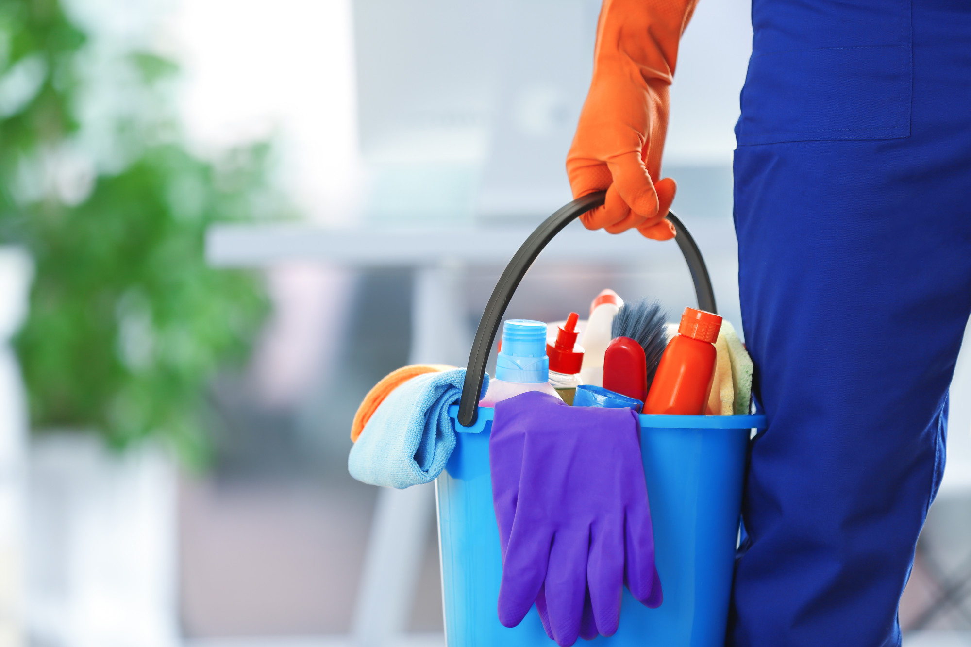 professional cleaning company