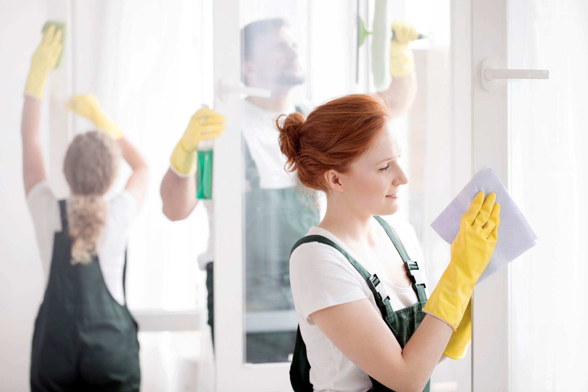 professional home cleaners
