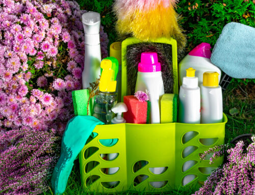 Top 5 Green Cleaning Myths Debunked for Houston Homeowners