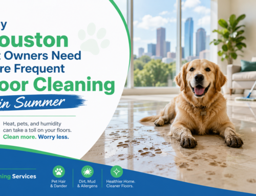 Why Houston Pet Owners Need More Frequent Floor Cleaning in Summer
